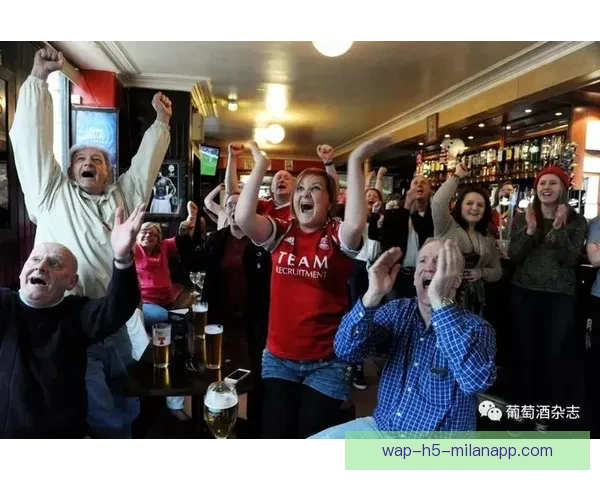 国际足球直播实战技巧解析与观赛体验全面提升指南方法与策略实用集